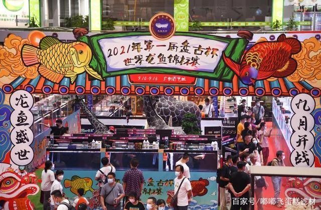 花地灣百藝城龍魚價(jià)格如何（地灣百藝城龍魚價(jià)格）