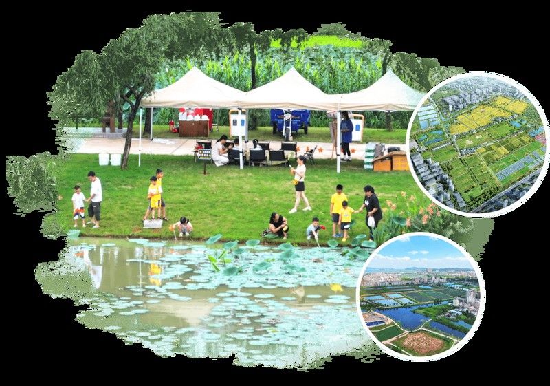 東莞龍魚養殖基地的地址在哪里？（東莞龍魚養殖基地位于中國廣東省東莞市南城區石竹路1號） 東莞龍魚養殖基地的地址在哪里？（東莞龍魚養殖基地位于中國廣東省東莞市南城區石竹路1號） 龍魚百科