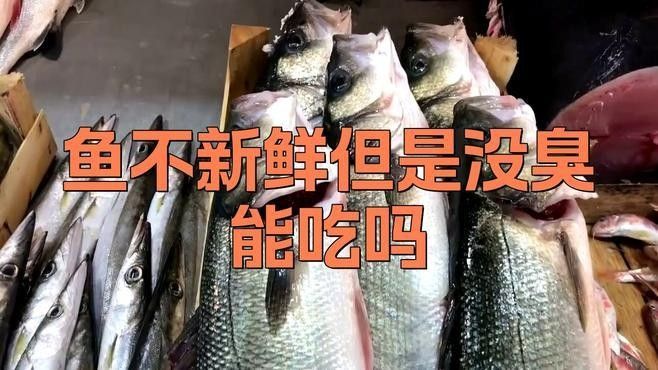 死魚(yú)的最佳食用時(shí)間（妙手醫(yī)生魚(yú)死了多久不能吃rsync03鯽魚(yú)死了還能吃嗎）