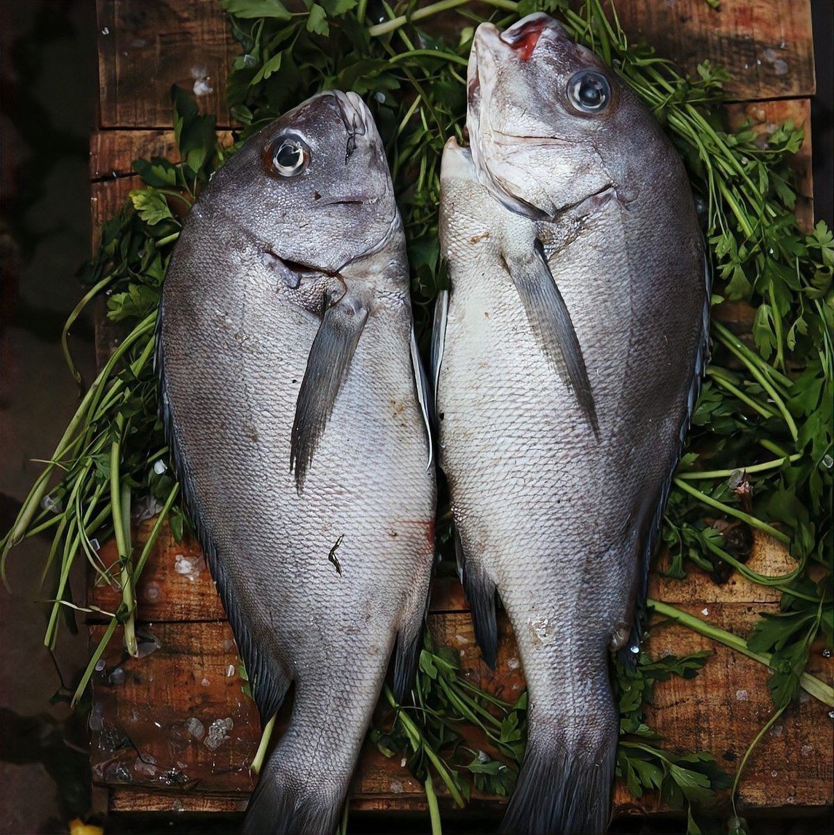 死魚(yú)的最佳食用時(shí)間（妙手醫(yī)生魚(yú)死了多久不能吃rsync03鯽魚(yú)死了還能吃嗎）