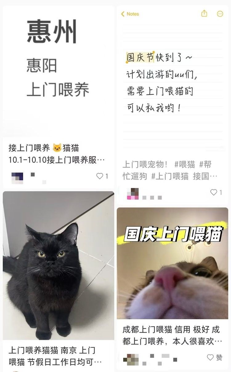 試養(yǎng)服務(wù)費(fèi)用是多少（國(guó)慶期間寵物托養(yǎng)服務(wù)火爆:大單9天收費(fèi)8100元） 試養(yǎng)服務(wù)費(fèi)用是多少（國(guó)慶期間寵物托養(yǎng)服務(wù)火爆:大單9天收費(fèi)8100元） 龍魚(yú)百科 第1張