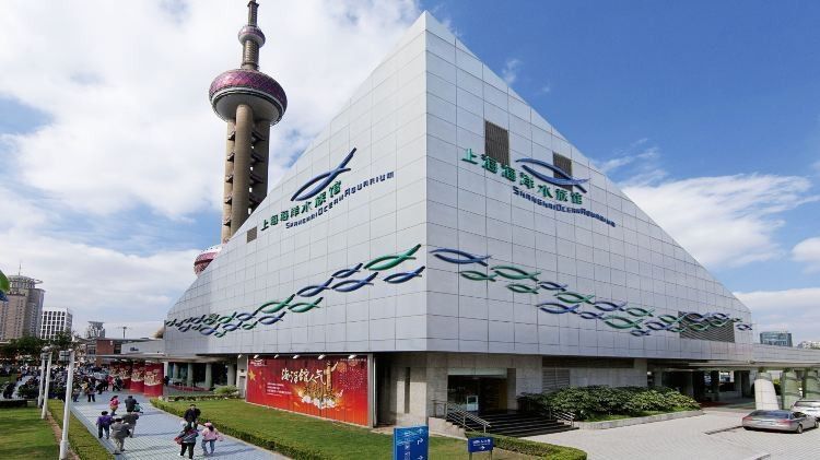 龍魚世家水族館有哪些特色？（上海海洋水族館攜程旅行龍魚世家水族館攜程旅行）