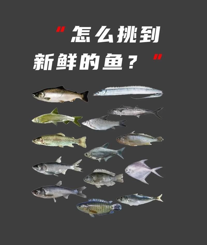 如何挑選新鮮的古龍魚？（如何挑選新鮮的古龍魚）