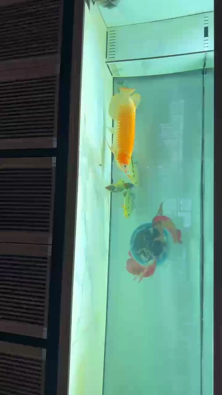 無聊冒個泡（人們如何通過創造性和幽默的方式來應對無聊）