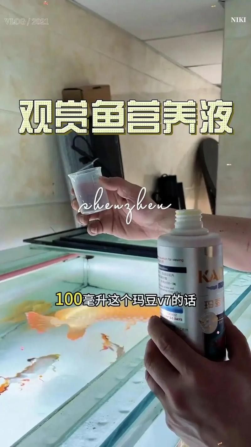 紅龍魚多久喂一次合適（紅龍魚喂食頻率的一些建議）