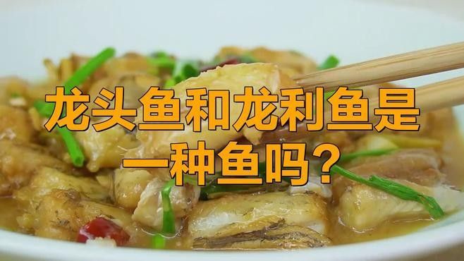杜龍魚和龍頭魚有何區別？（杜龍魚與龍頭魚的區別）