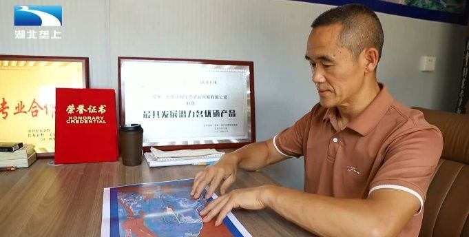 恩施龍魚養殖基地的口碑如何（恩施龍魚養殖基地怎么樣？） 恩施龍魚養殖基地的口碑如何（恩施龍魚養殖基地怎么樣？） 龍魚百科 第8張