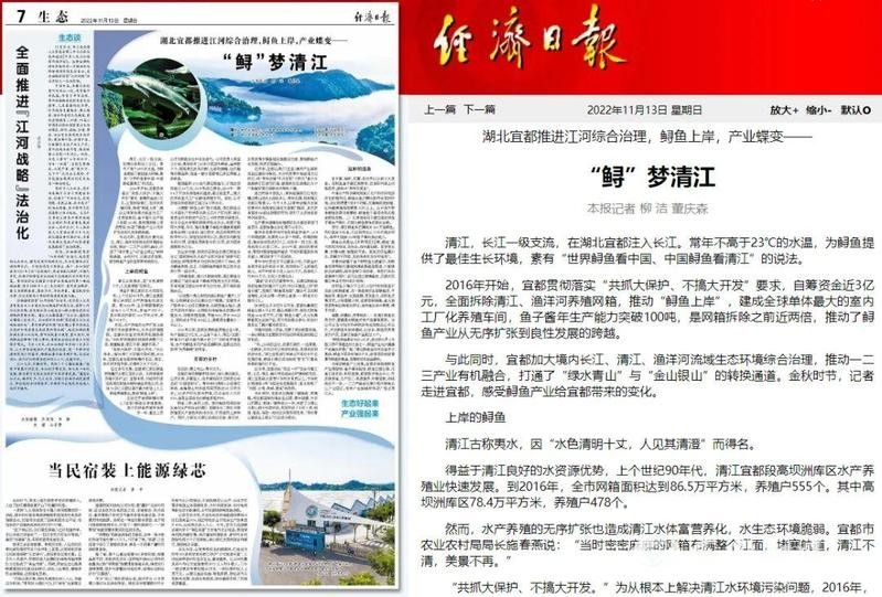 恩施龍魚養殖基地的口碑如何（恩施龍魚養殖基地怎么樣？） 恩施龍魚養殖基地的口碑如何（恩施龍魚養殖基地怎么樣？） 龍魚百科 第10張