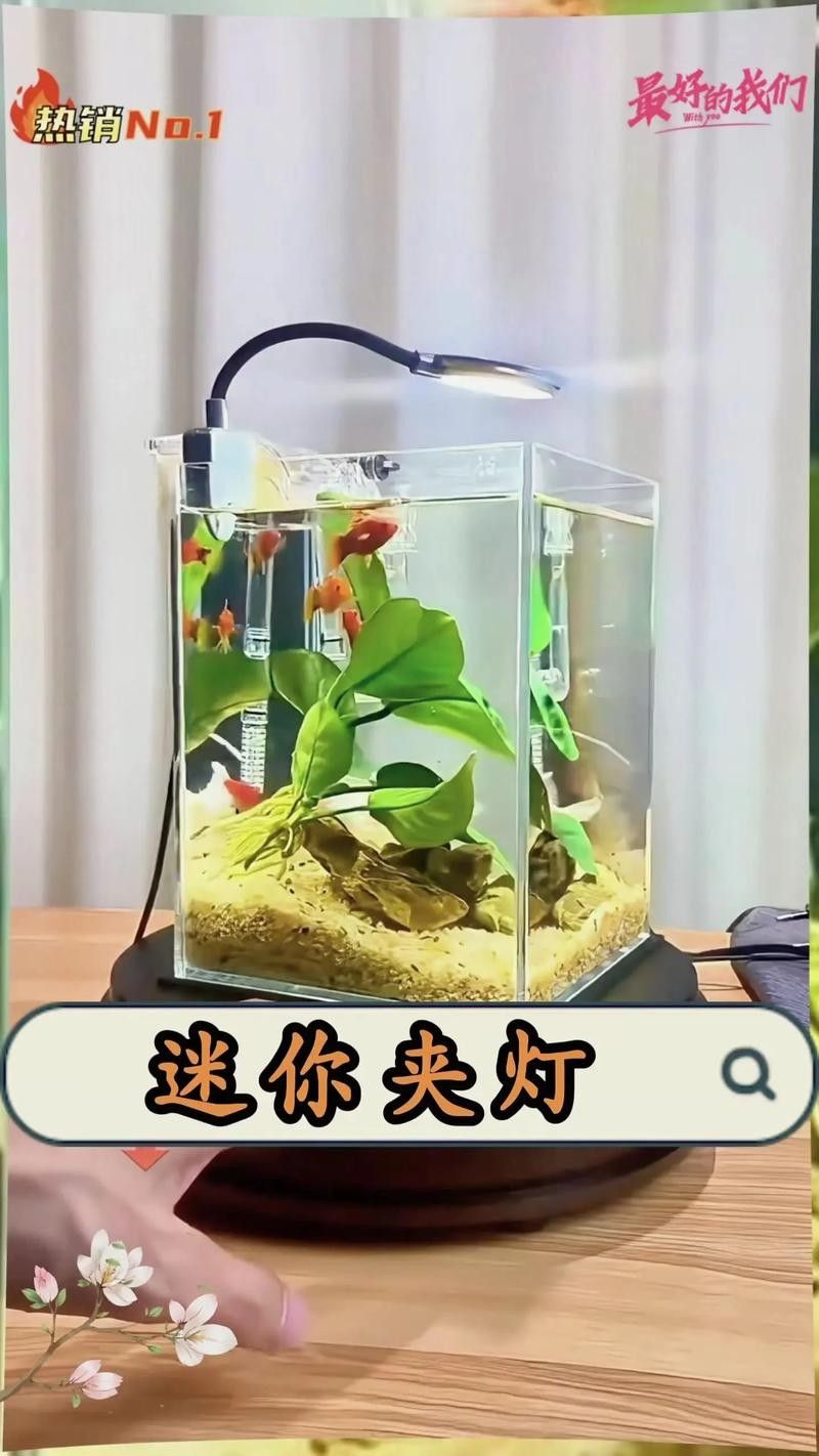如何根據(jù)魚缸尺寸選擇水中燈（如何根據(jù)魚缸尺寸選擇合適的水中燈） 如何根據(jù)魚缸尺寸選擇水中燈（如何根據(jù)魚缸尺寸選擇合適的水中燈） 龍魚百科 第6張