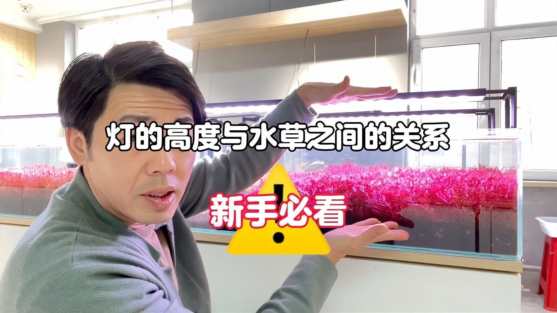 如何根據(jù)魚缸尺寸選擇水中燈（如何根據(jù)魚缸尺寸選擇合適的水中燈） 如何根據(jù)魚缸尺寸選擇水中燈（如何根據(jù)魚缸尺寸選擇合適的水中燈） 龍魚百科 第9張