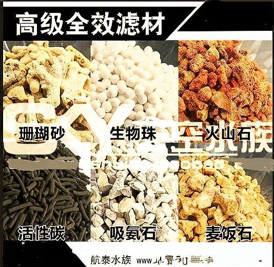如何根據(jù)魚缸尺寸選擇水中燈（如何根據(jù)魚缸尺寸選擇合適的水中燈） 如何根據(jù)魚缸尺寸選擇水中燈（如何根據(jù)魚缸尺寸選擇合適的水中燈） 龍魚百科 第12張