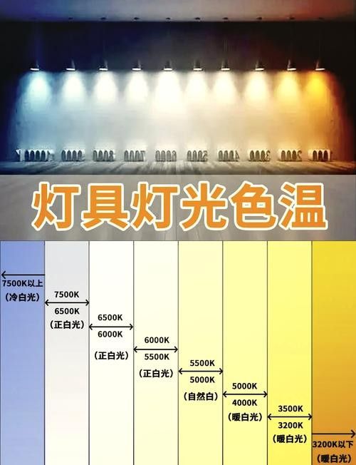 如何選擇適合龍魚的燈管？（如何選擇適合龍魚的燈管）