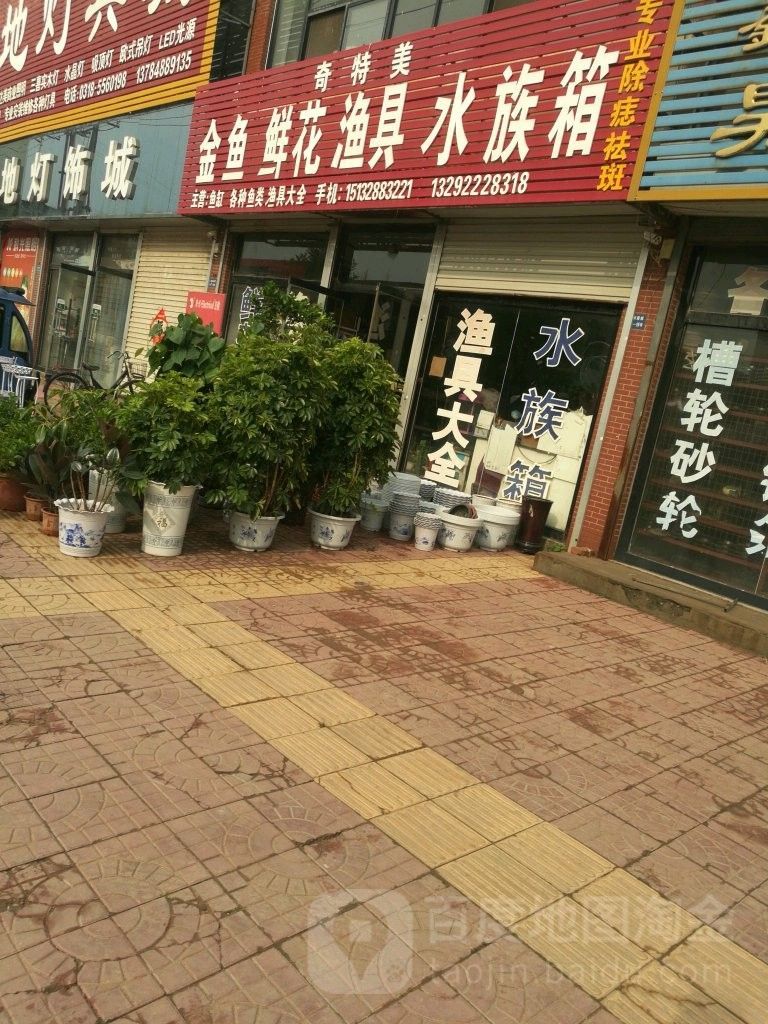 故城哪個水族館龍魚好？祥龍魚場龍魚（故城哪個水族館祥龍魚場龍魚）