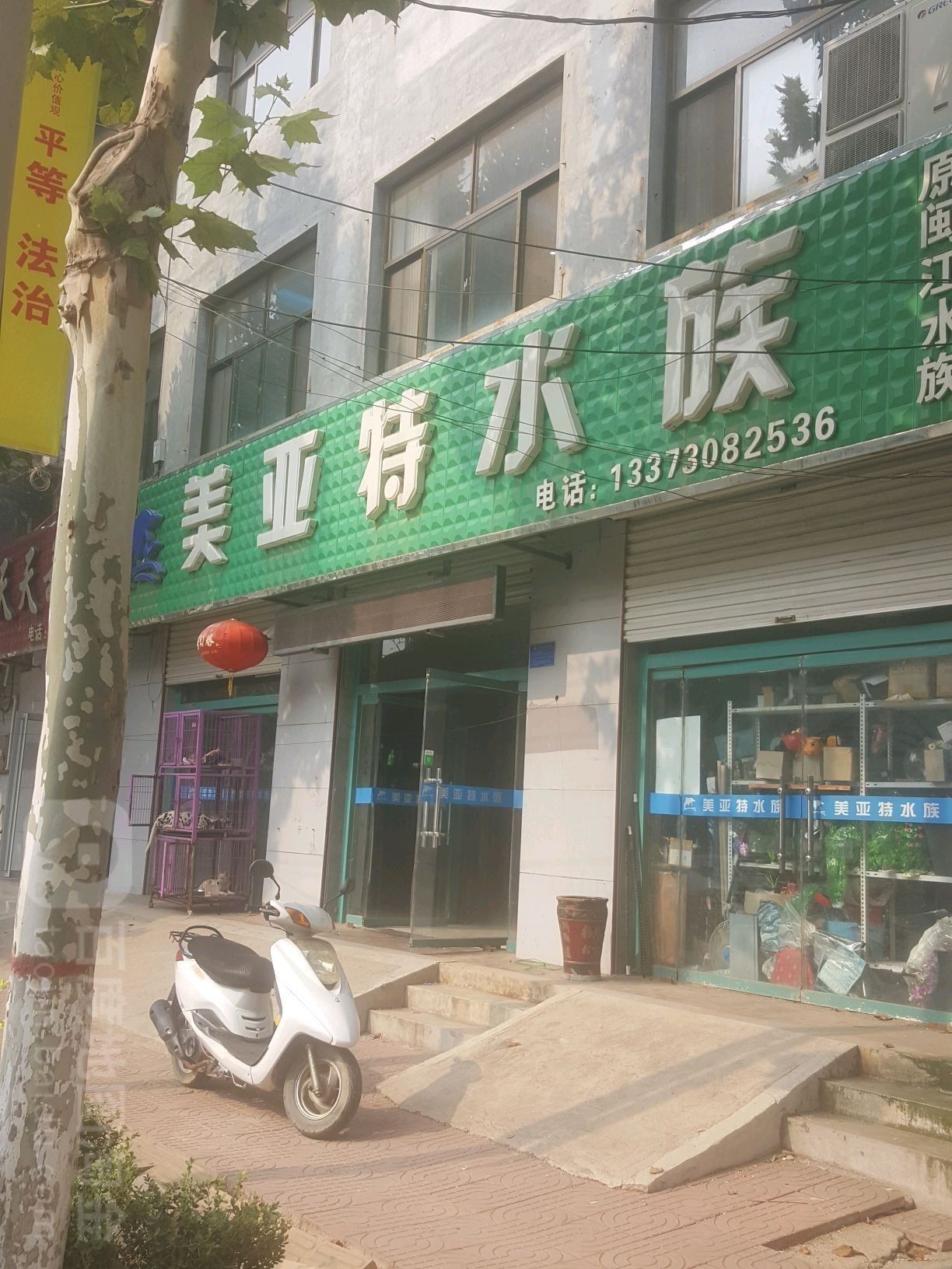 故城哪個水族館龍魚好？祥龍魚場龍魚（故城哪個水族館祥龍魚場龍魚）