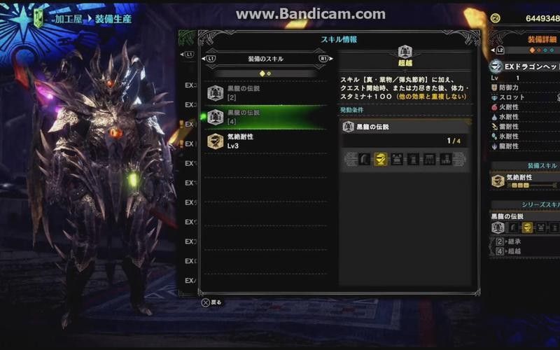 黑龍裝備詞條如何選擇（《怪物獵人:世界》黑龍裝備詞條如何選擇）