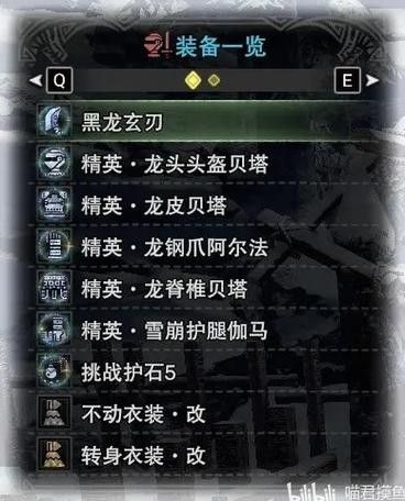 黑龍裝備詞條如何選擇（《怪物獵人:世界》黑龍裝備詞條如何選擇）