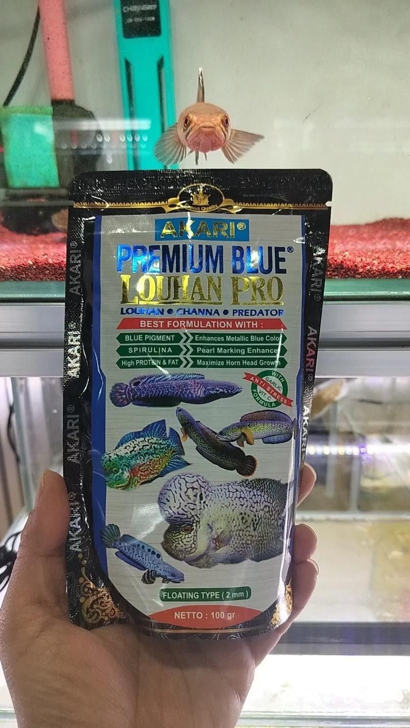 雷龍魚增色飼料有哪些品牌推薦（雷龍魚增色飼料品牌推薦）