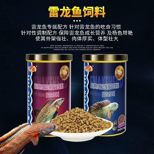 雷龍魚增色飼料有哪些品牌推薦（雷龍魚增色飼料品牌推薦）