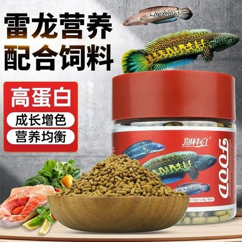 雷龍魚增色飼料有哪些品牌推薦（雷龍魚增色飼料品牌推薦）