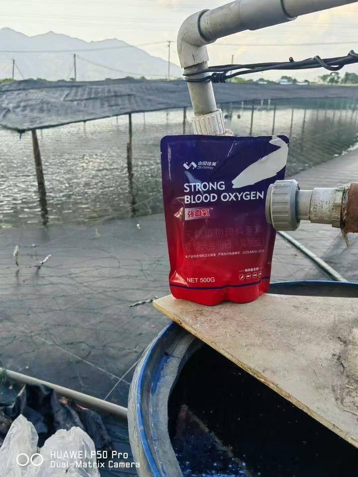 如何判斷紅龍魚是否貧血？（紅龍魚貧血的診斷通常需要通過觀察其行為和外觀癥狀）