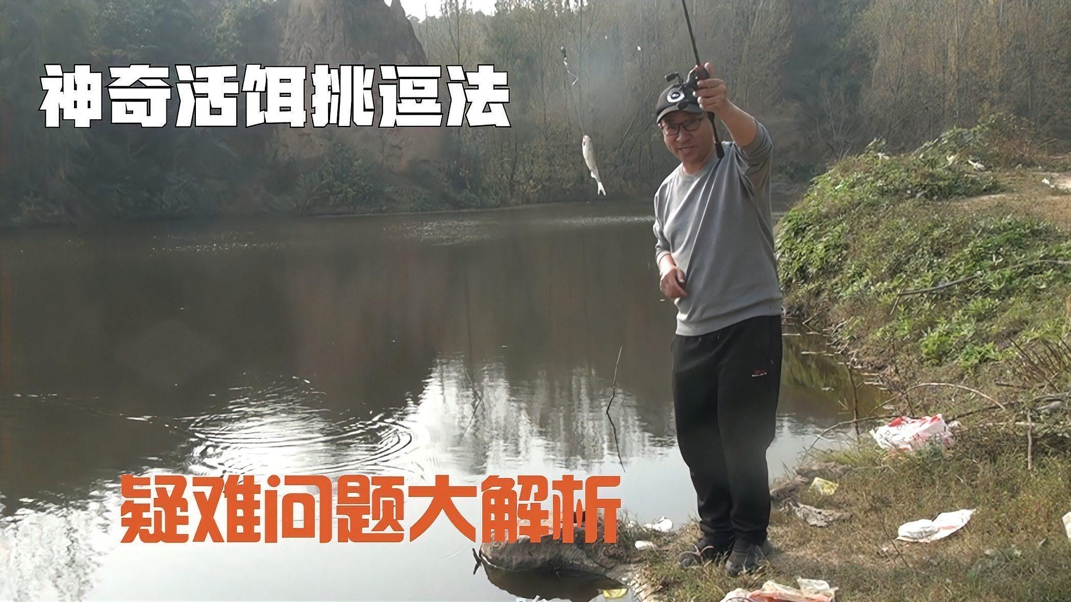 如何判斷活餌是否健康（怎樣判斷活餌是否健康？）