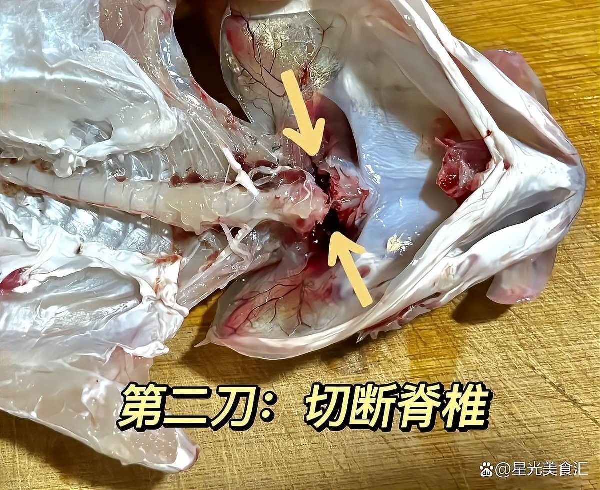 金龍魚的內臟如何處理？（金龍魚內臟處理的詳細分析，魚販偷偷說:先做這步,腥味減半不苦）
