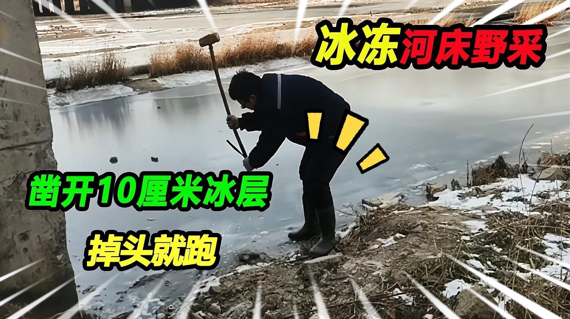 如何安全地飼養東方蠑螈？（東方蠑螈水生寵物飼養東方蠑螈的飼養） 如何安全地飼養東方蠑螈？（東方蠑螈水生寵物飼養東方蠑螈的飼養） 龍魚百科 第2張