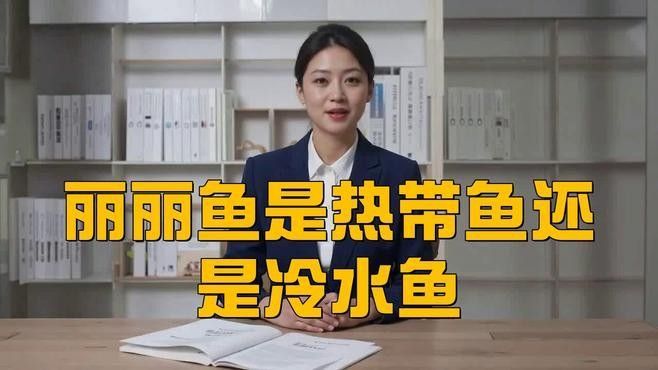 麗麗魚有哪些品種？（麗麗魚最建議買的三個品種）