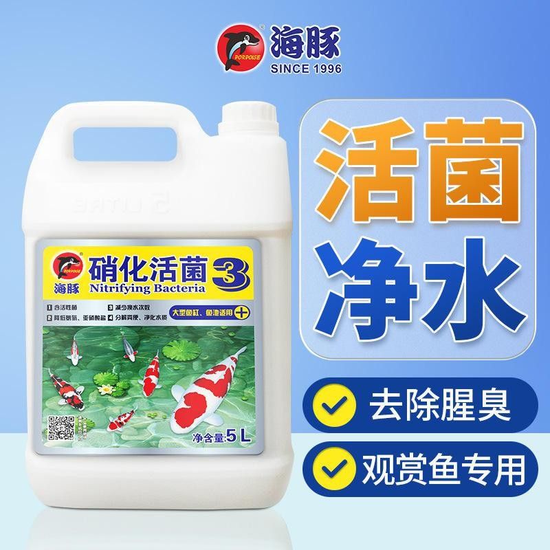 萬龍魚的價格是多少？（萬龍魚的市場價格波動大嗎？）