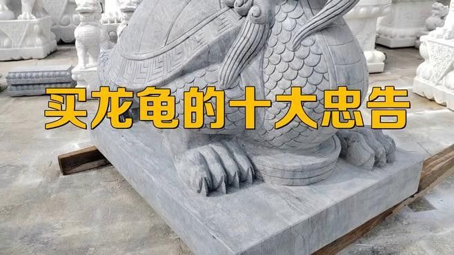 開光龍龜的價格范圍（開光龍龜價格一般多少？） 開光龍龜的價格范圍（開光龍龜價格一般多少？） 龍魚百科 第8張