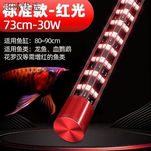 LED燈管適用于金龍魚嗎？（led燈管適用于金龍魚嗎）