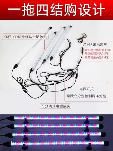 LED燈管適用于金龍魚嗎？（led燈管適用于金龍魚嗎）