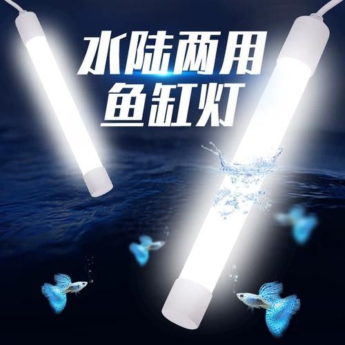 LED燈管適用于金龍魚嗎？（led燈管適用于金龍魚嗎）