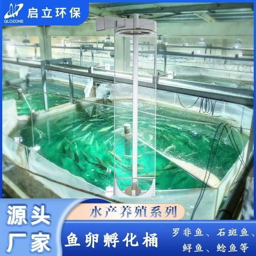 金龍魚人工孵化需要哪些設備（金龍魚人工孵化中的重要技術，提高幼魚成活率和生長速度） 金龍魚人工孵化需要哪些設備（金龍魚人工孵化中的重要技術，提高幼魚成活率和生長速度） 龍魚百科 第1張
