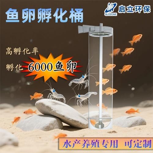 金龍魚人工孵化需要哪些設備（金龍魚人工孵化中的重要技術，提高幼魚成活率和生長速度） 金龍魚人工孵化需要哪些設備（金龍魚人工孵化中的重要技術，提高幼魚成活率和生長速度） 龍魚百科 第11張