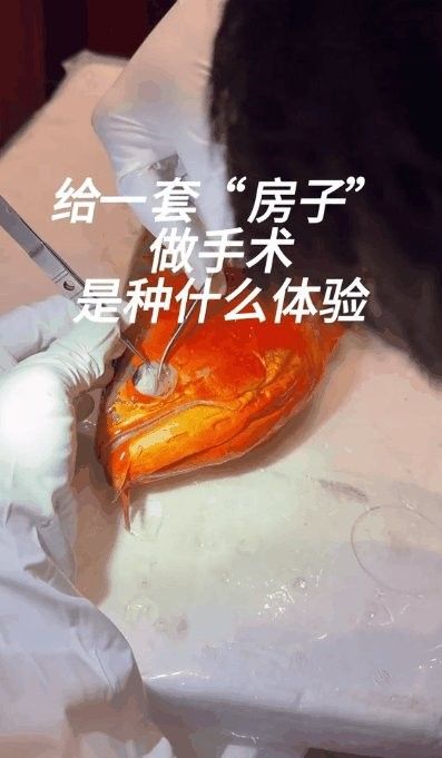 龍魚掉眼手術風險大嗎？（龍魚掉眼怎么辦？）