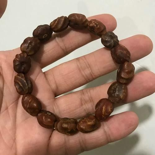 哪里可以購買到白玉紅龍魚？ 哪里可以購買到白玉紅龍魚？ 龍魚百科 第1張