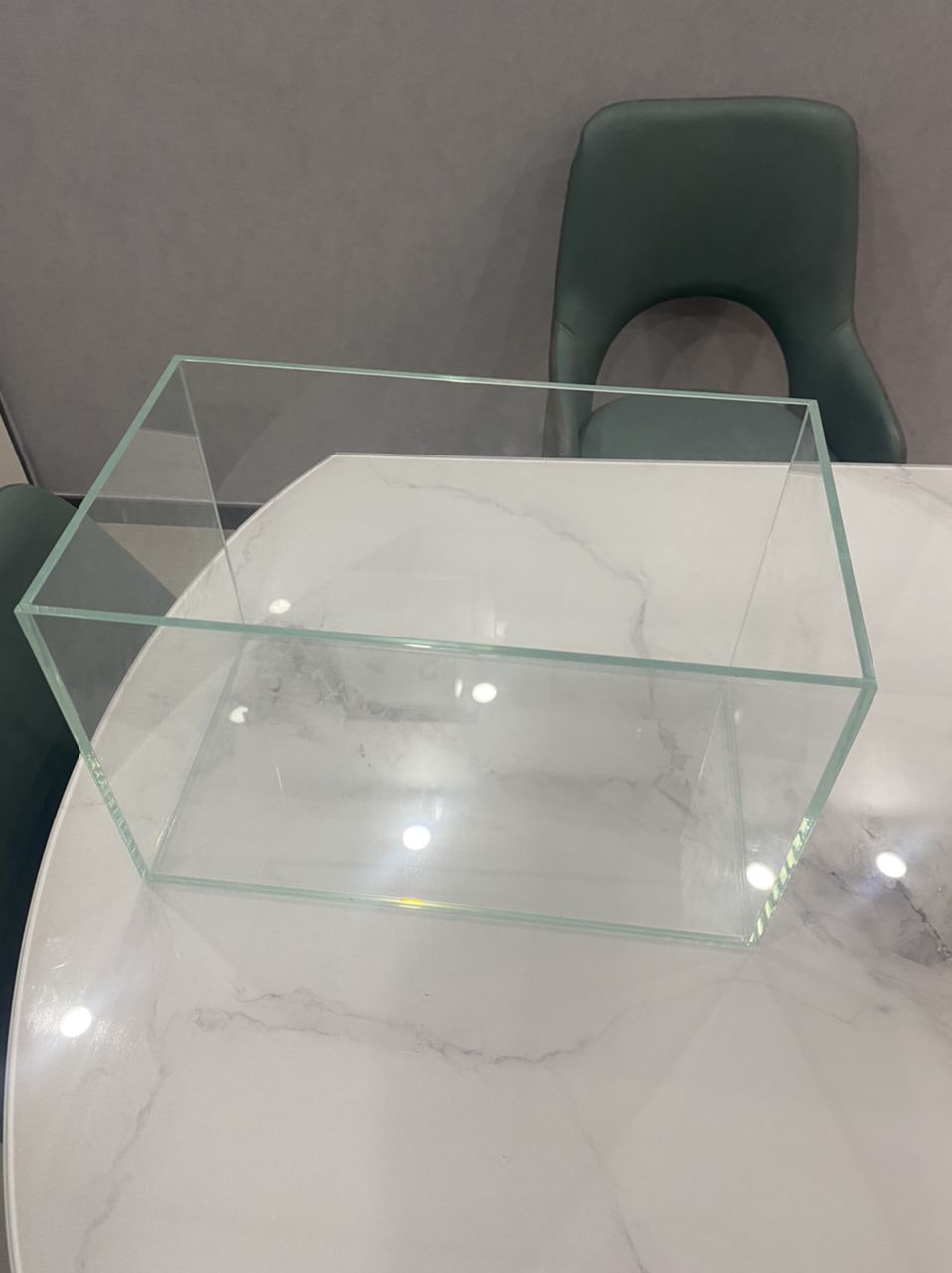 龍魚怕什么 我的小魚缸第一個帖子,正好(我的小魚缸第一個帖子) 龍魚論壇 我的小魚缸第一個帖子,正好(我的小魚缸第一個帖子) 我的小魚缸第一個帖子,正好(我的小魚缸第一個帖子) 龍魚論壇