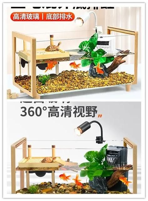 混養(yǎng)時(shí)需要注意哪些事項(xiàng)（養(yǎng)魚說魚缸混養(yǎng)技巧:注意這三點(diǎn)避免爭斗游跡客）