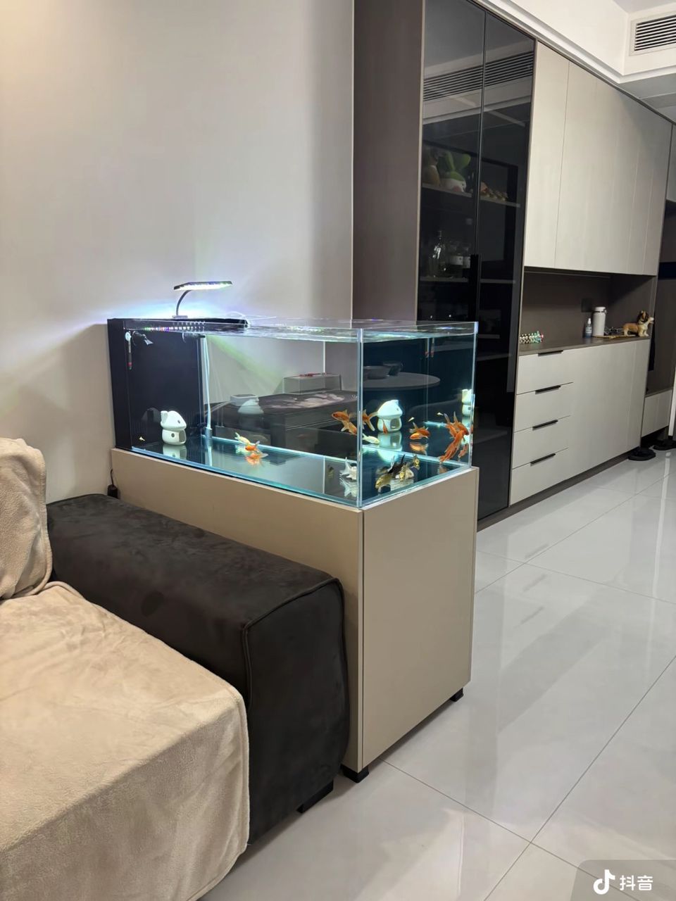 給大魚缸換水的作文:體驗給大魚缸換水的樂趣:體驗給大魚缸換水:給大魚缸換水的作文 新人加入,大家多多指教 龍魚論壇 新人加入,大家多多指教 新人加入,大家多多指教 龍魚論壇