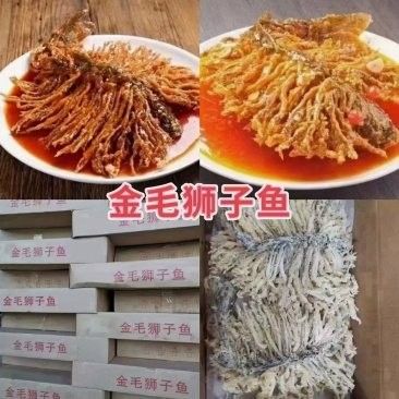 龍魚顏色與價格對照表，哪種龍魚的顏色最具收藏價值，最具收藏價值的龍魚品種
