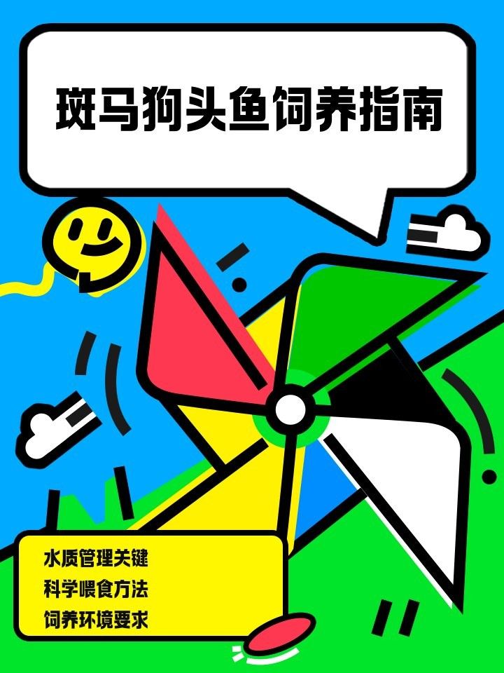 如何減少斑馬狗頭和雷龍魚的攻擊性？（斑馬狗頭和雷龍魚怎么養寵物小阿超斑馬狗頭魚怎么養） 如何減少斑馬狗頭和雷龍魚的攻擊性？（斑馬狗頭和雷龍魚怎么養寵物小阿超斑馬狗頭魚怎么養） 龍魚百科 第7張