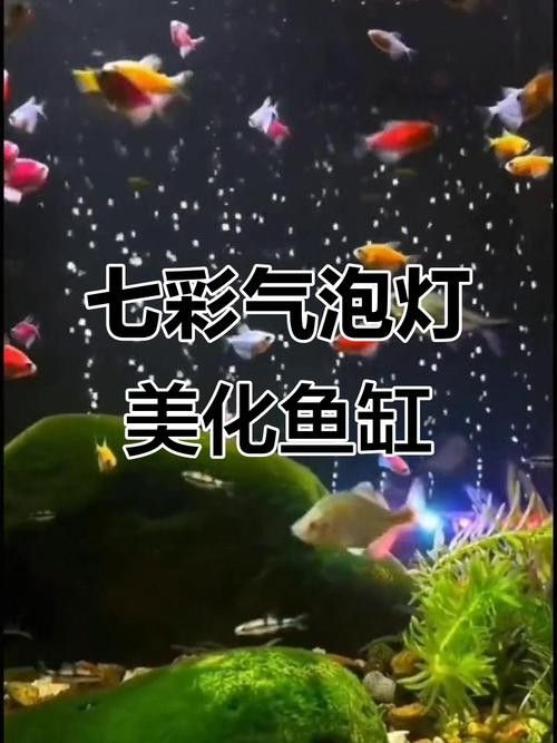 CRAZY PLANT的燈質量如何（crazyplant的魚缸燈在市場上表現參差不齊）