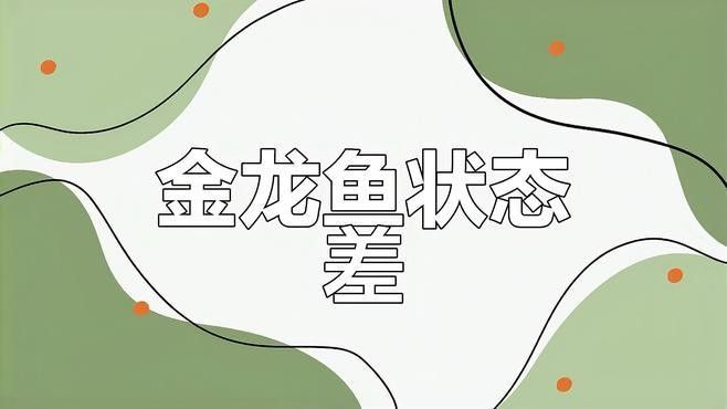 金龍魚不吃食怎么辦？（金龍魚不吃食怎么回事金龍魚不吃食怎么辦解決方法）
