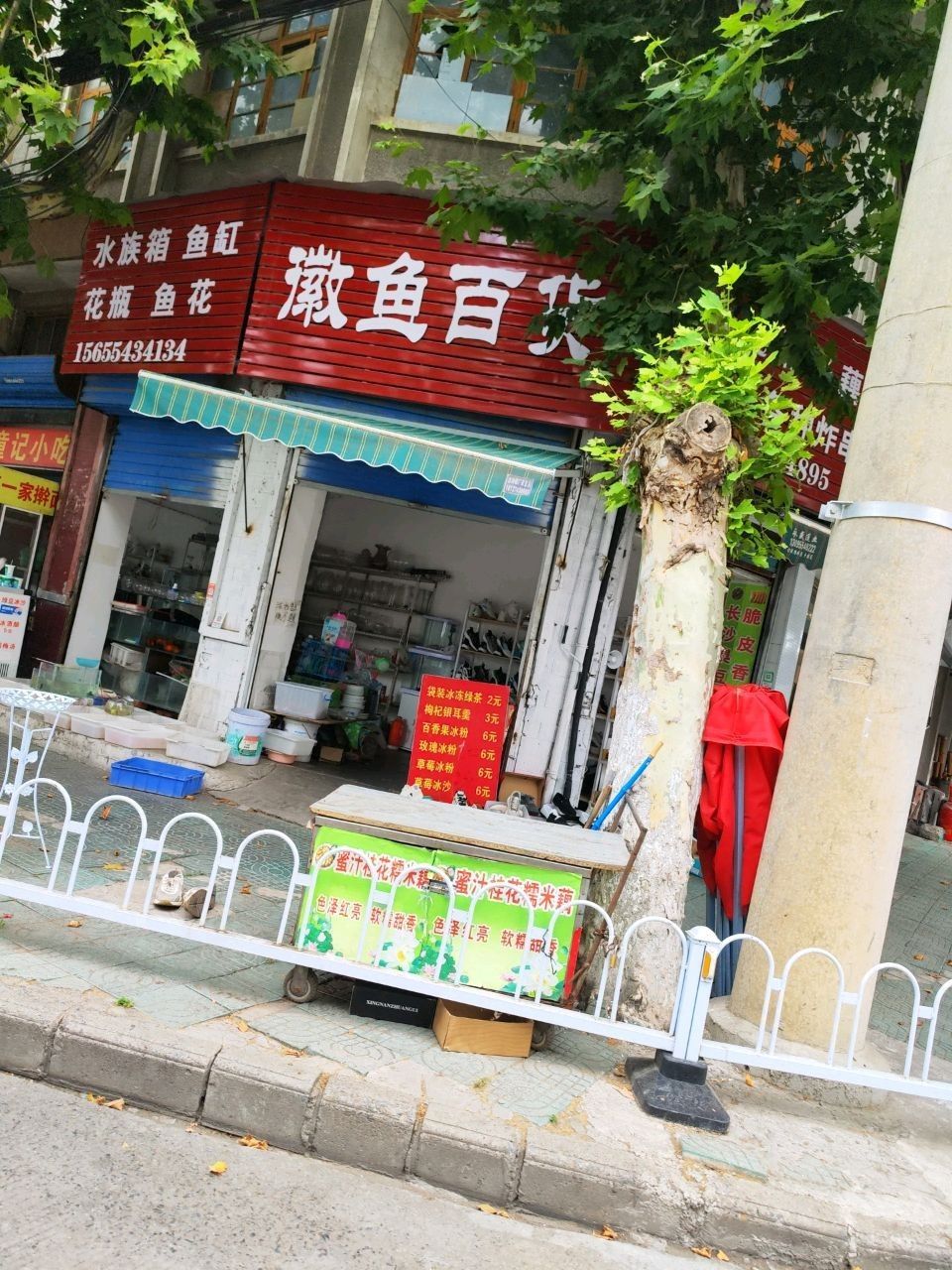 謝家集哪個水族館龍魚好？祥龍魚場龍魚（聊城水族館|祥龍魚場聊城分店|觀賞魚世界）