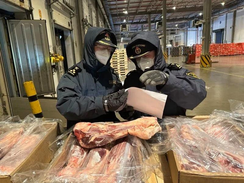 進境動植物檢疫許可證如何申請（進境動植物檢疫許可證辦理流程） 進境動植物檢疫許可證如何申請（進境動植物檢疫許可證辦理流程） 龍魚百科 第5張