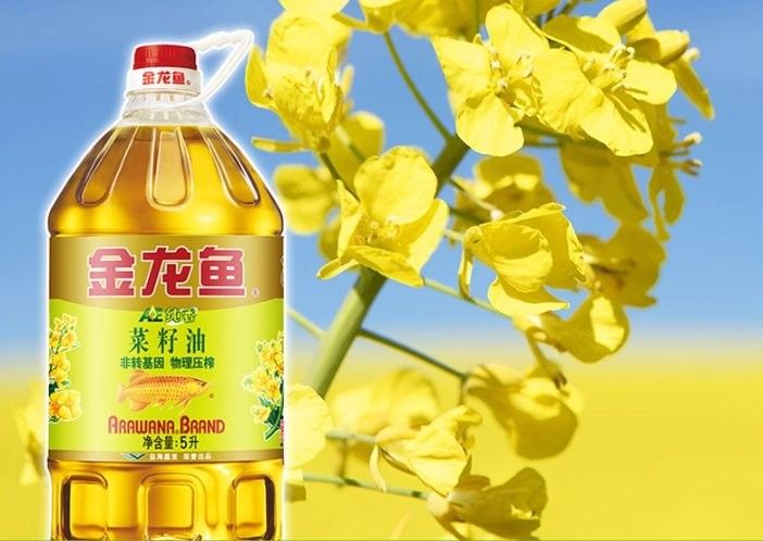 金龍魚(yú)和道道全哪個(gè)更受歡迎（金龍魚(yú)和道道全哪個(gè)好）