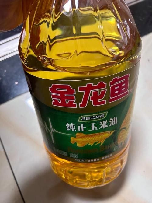 金龍魚(yú)和道道全哪個(gè)更受歡迎（金龍魚(yú)和道道全哪個(gè)好）