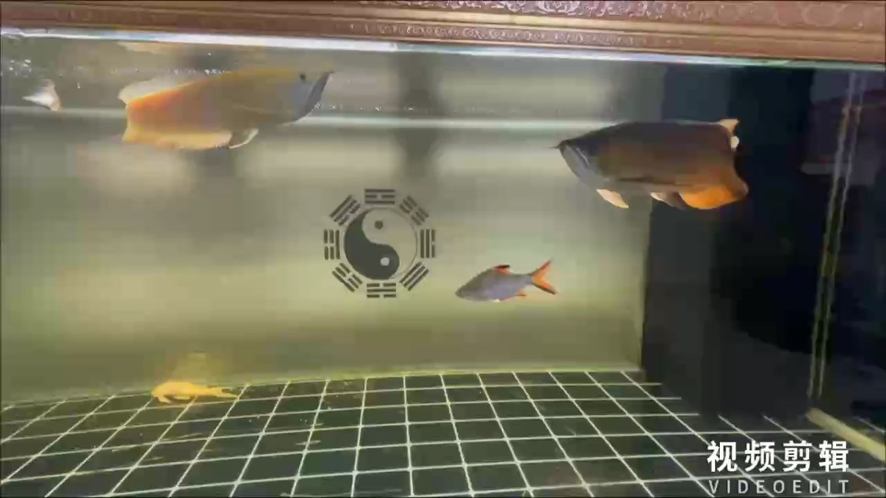 每天打卡（《每天打卡的重要性與實踐策略》）