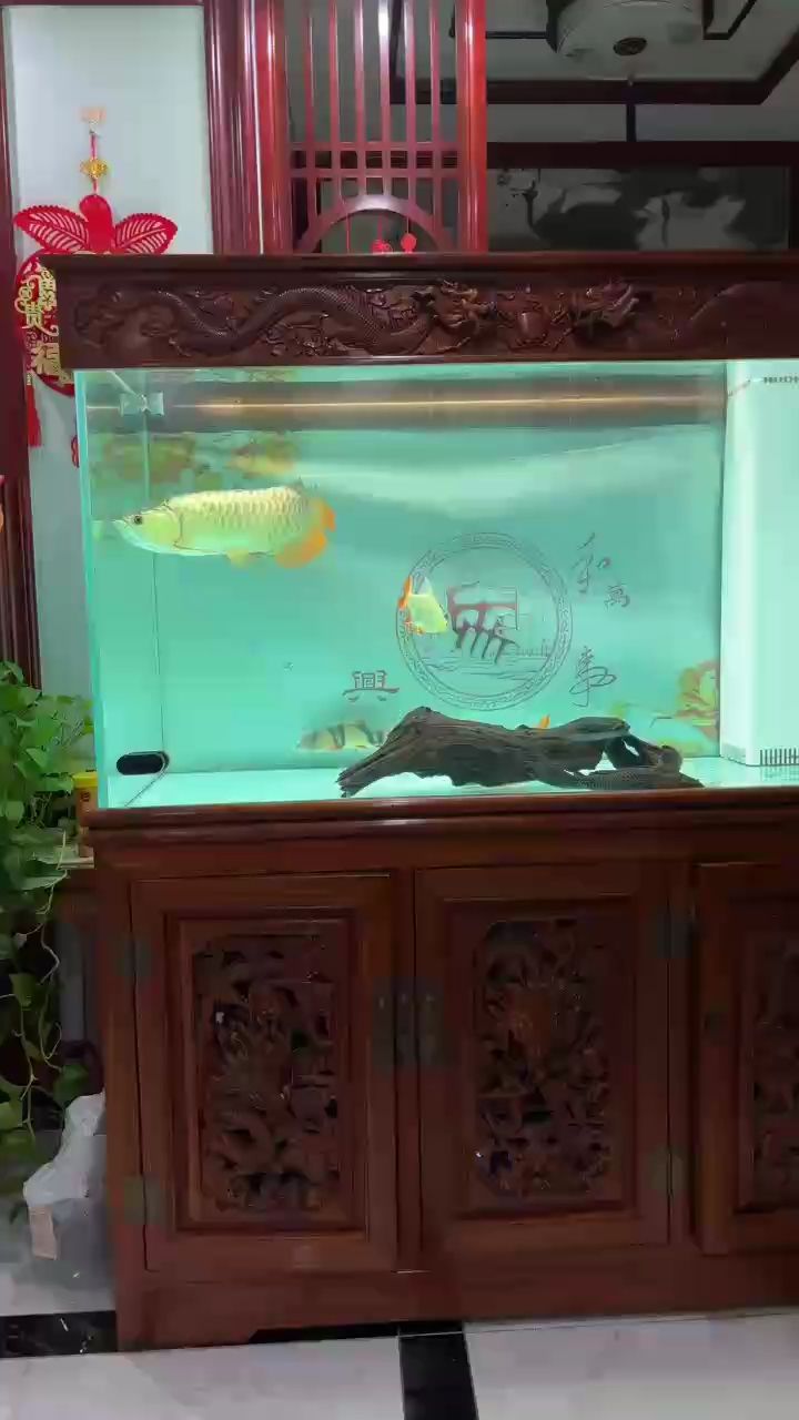 看會(huì)（vr技術(shù)在教育中的應(yīng)用）